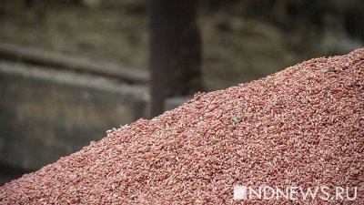 Беспочвенные обвинения: Россия останется основным поставщиком продовольствия после прекращения «зерновой сделки»