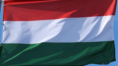 Венгрия запретила вывозить дрова из страны
